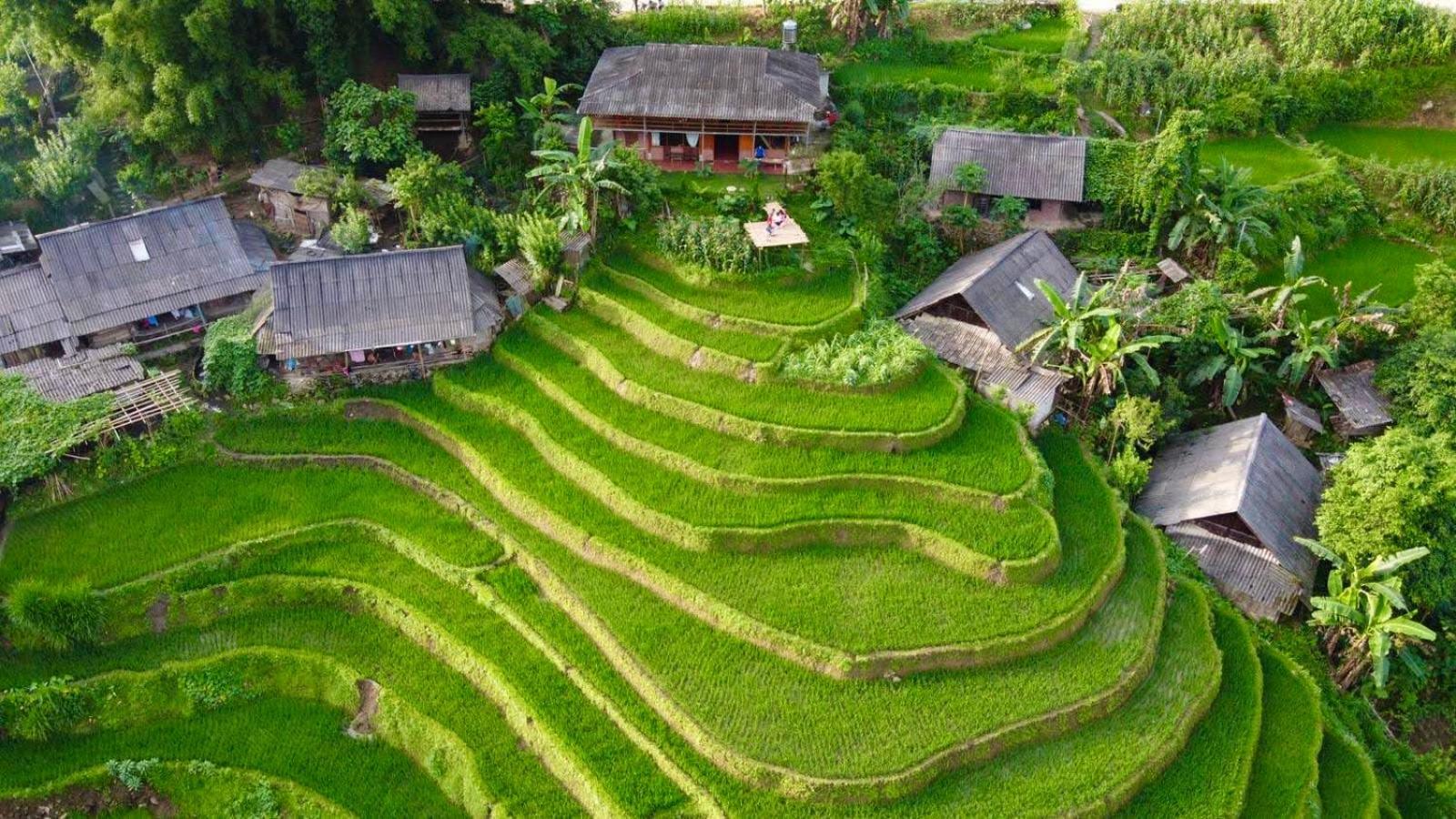 My'S Homestay Sapa 外观 照片