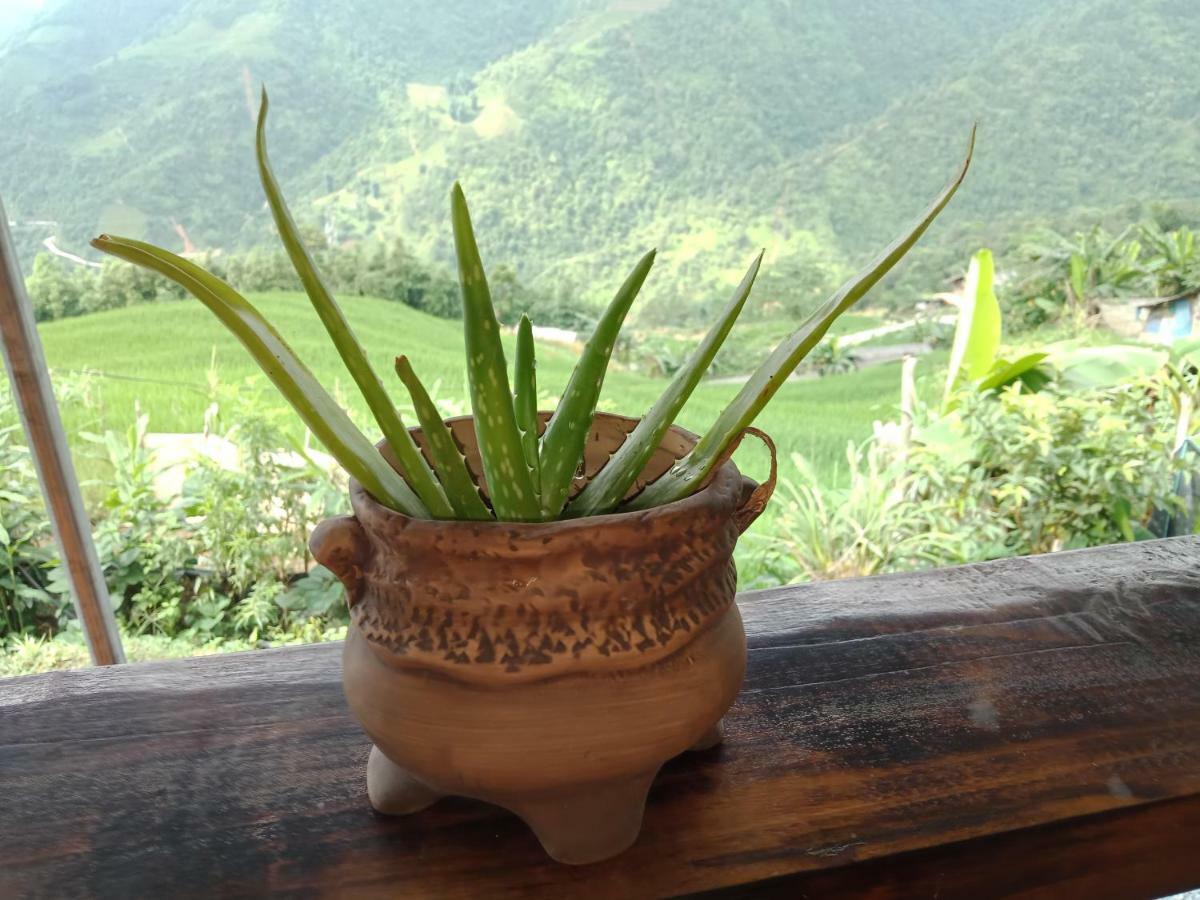 My'S Homestay Sapa 外观 照片